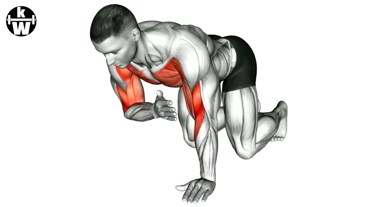 Expend Chest The Best Exercises To Expand Your Chest Muscles - YouTube