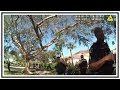 Arrest Of High School Mass Shooter (Nikolas Cruz) | Body Cam | United States | 20180214