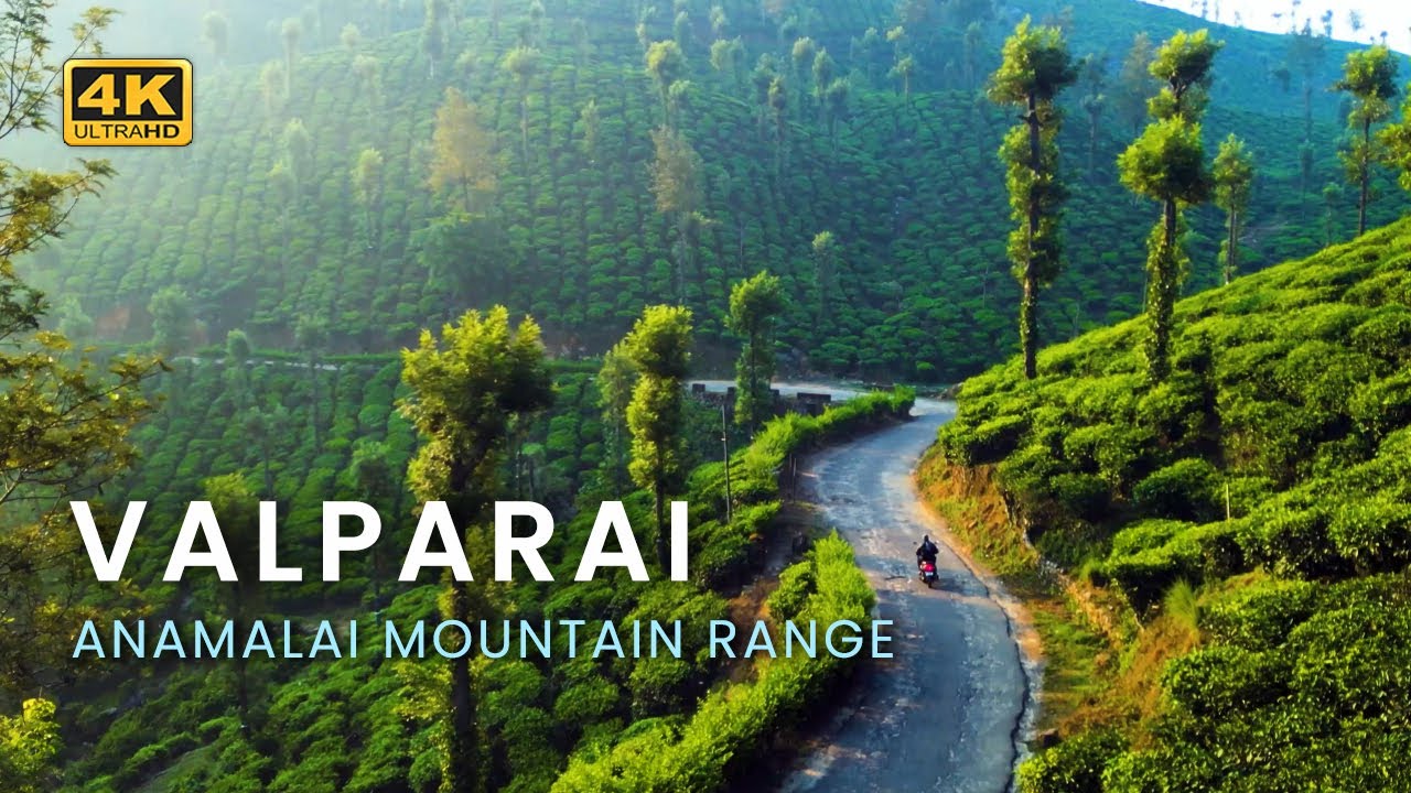 Valparai  Travel to Valparai through Athirappilly Vazhachal Forest  4K