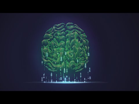 ЦИФРОВАЯ ПРОБЛЕМА МОЗГА | рубрика ВЖУХ | книга The Idea of the Brain