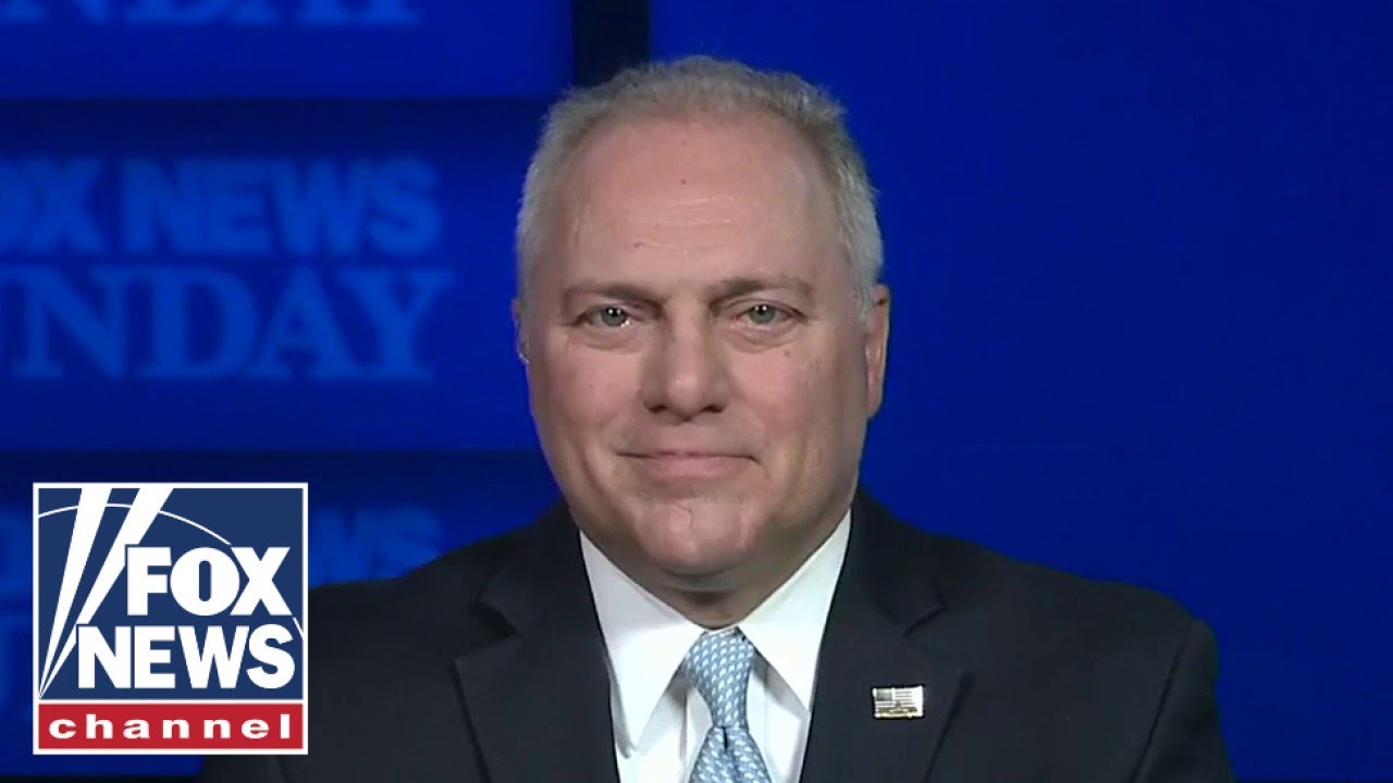 Rep. Scalise: Voters want a ‘check and balance’ on this