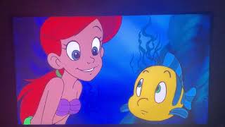 When Ariel First Met Flounder