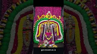 #murugan #indiangods #hindudeity #love #hindugod #bhakti #divine #astrology #velmurugan#kandhasasti