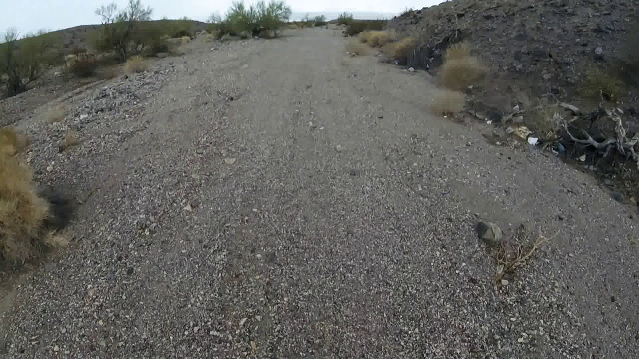 Lake havasu Arizona Eurasian "Euro" dove hunt YouTube