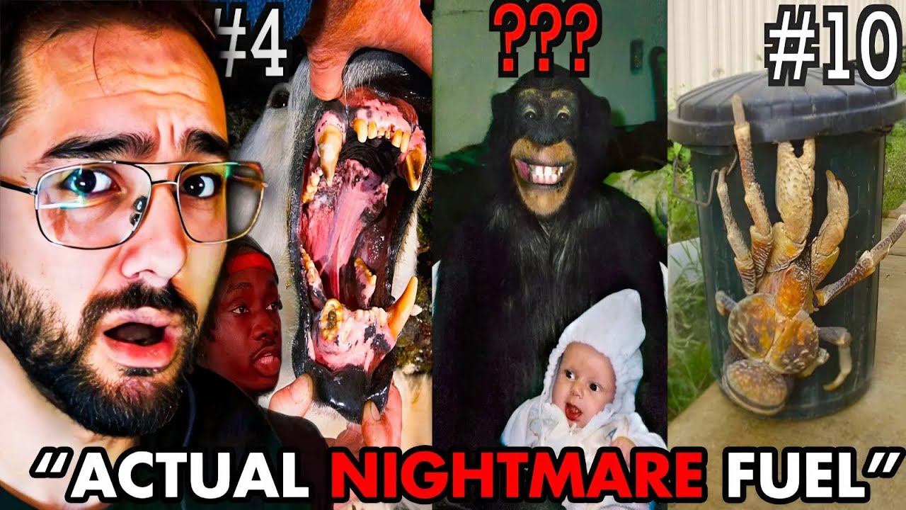 Redshell в ужасе от 10 самых жутких способов, которыми животное может на вас охотиться 💀