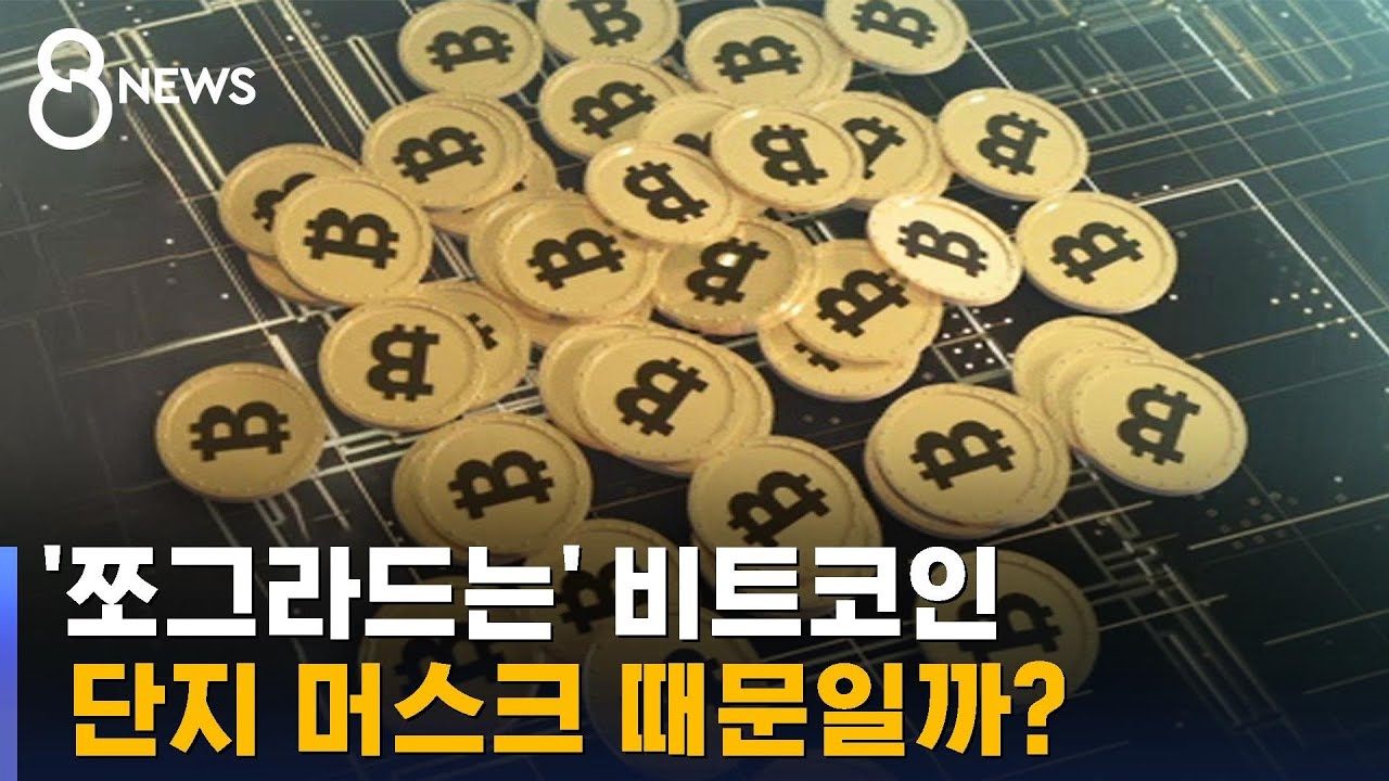 비트코인 한 달 새 40% 하락…우려되는 것 한 가지 / SBS