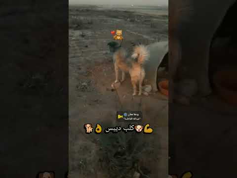 ١٦ أيار ٢٠٢٦