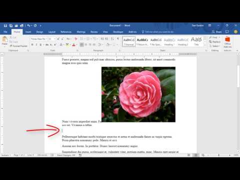 77. Layout Options - Inline