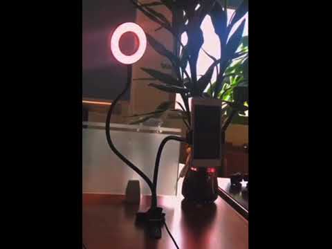 Кільцева LED-лампа з тримачем для телефону (USB, 10 рівнів яскравості, 3 режими світла), відео 1
