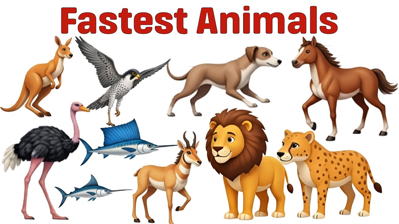 Top 10 Fastest Animals in the World 🐆 | Amazing Speed Facts for Kids 