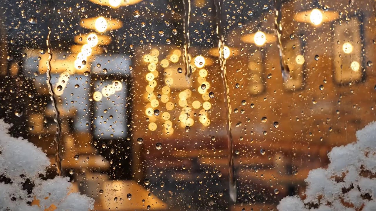 Quiet Piano Jazz for Aquarium Visit – Ideal for Calm Observation