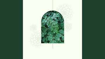 Sparkling Backdrops for Unwinding Evening Sessions