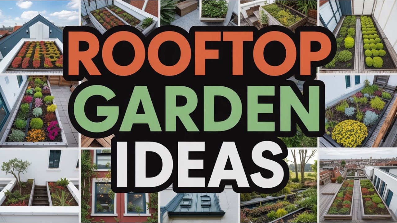 The Dreamiest Rooftop Garden Ideas: Create Your Own Urban Oasis! - YouTube