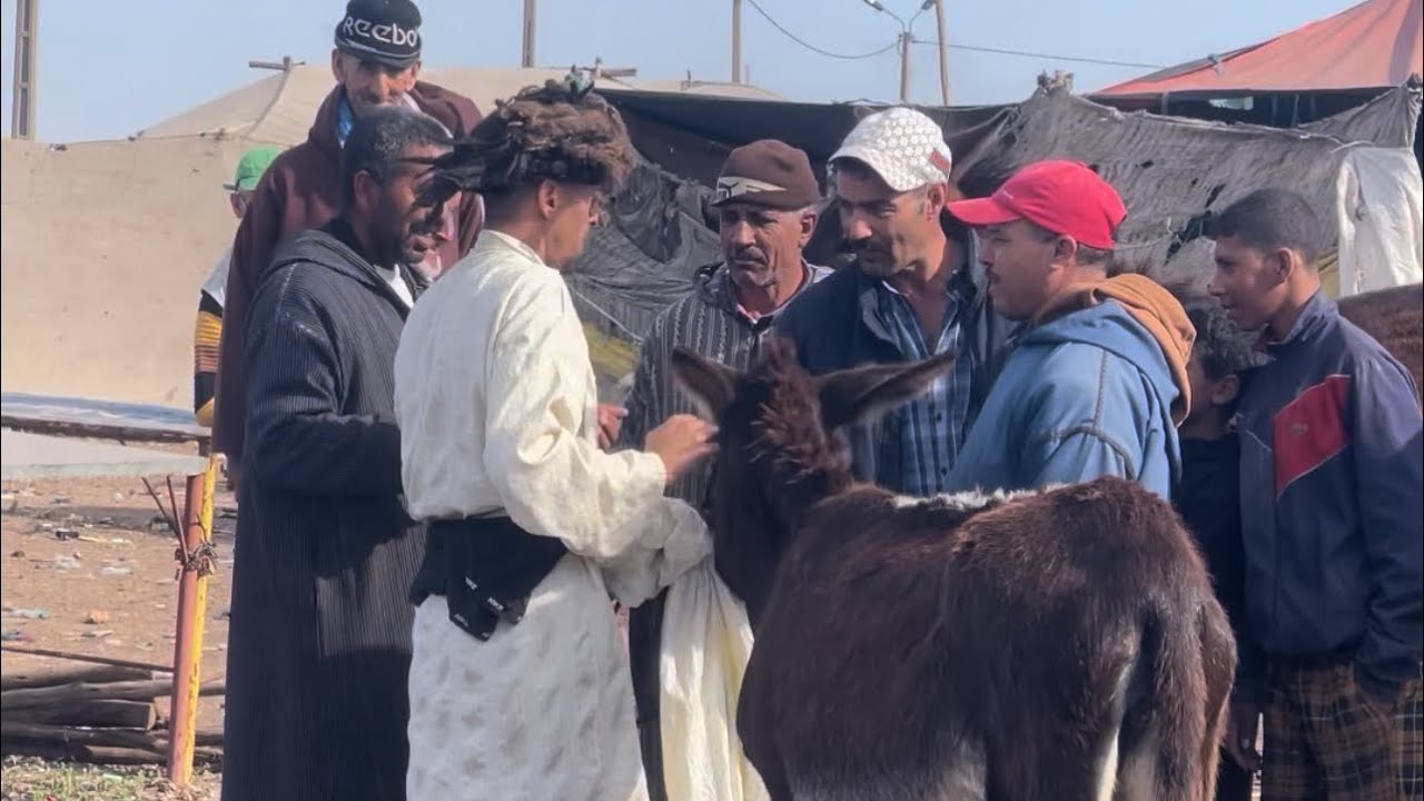 بغيت نبيعو ومايمكنش هد خونا هربان ديال بصاح😂😂#مقلب_كوميدي