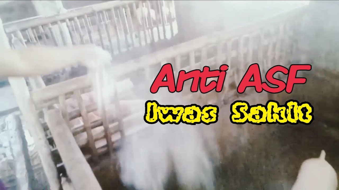 ANTI ASF DISINFECTANT - YouTube