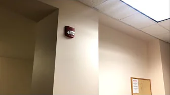 Fire Alarm Bell Test #60 (Gamewell-FCI S3) 
