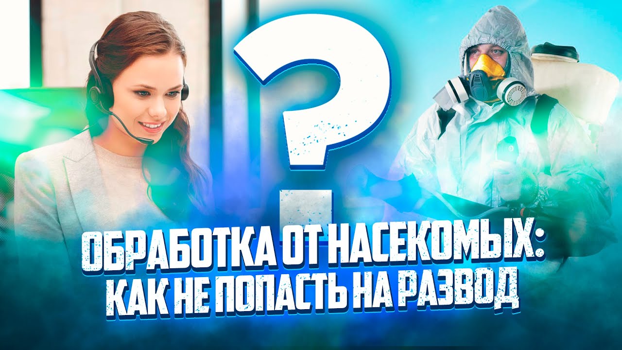 Как выбрать службу дезинсекции — 5 советов