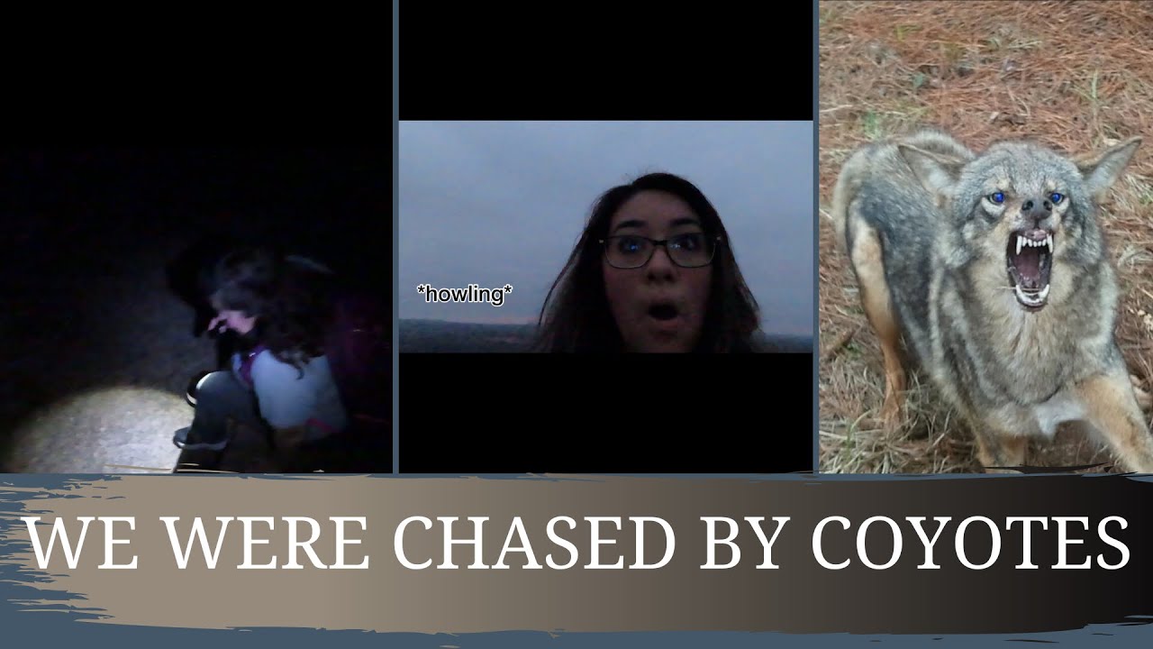 ENCHANTED ROCK VLOG W/ FRIENDS || we were LOST at night and were CHASED BY COYOTES