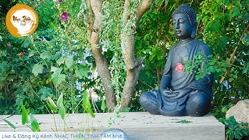 Nhạc Thiền Tịnh Tâm - Sáo Trúc Nhẹ Nhàng Tĩnh Tâm Thư Giãn Thanh Lọc Nội Tâm Giúp Ngủ Ngon An Lạc