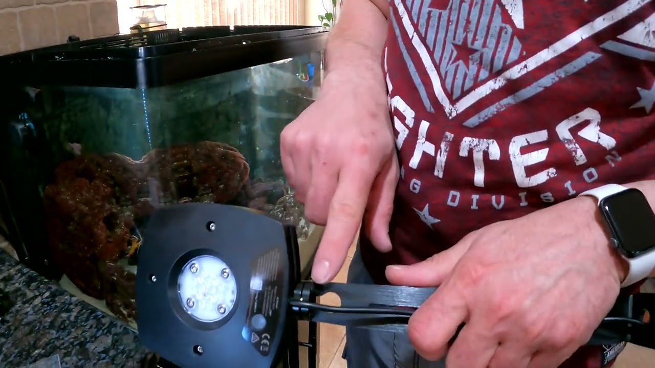 Biocube 32 light upgrade