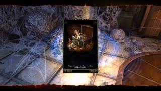 Neverwinter Bug - Clockwork Tomb - Weird Shadow and empty Loot Coffer