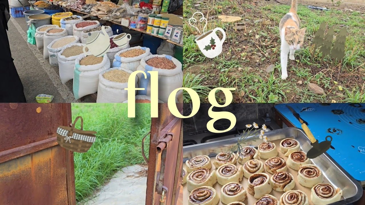 فلوق (يوم لطيف)🎻🕯