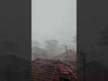 heavy rain in Kolleru.....#haveyrain #rain #kolleru #viral #shorts ... agadalalanka ....havey rain