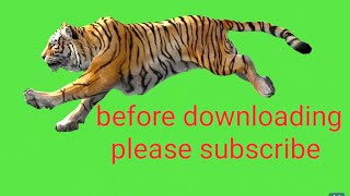 Lion Leopard Running 3D Green Screen Background For Video Editing Purpose