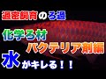 【ろ過】過密飼育でも水は綺麗に！実際に使ってお勧め出来る化学ろ材二選とバクテリア剤三選！熱帯魚アクアリウム