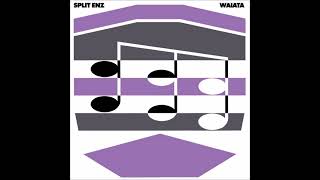 03  SPLIT ENZ 1981 i don't wanna dance