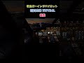 現役ボーイングパイロット!羽田空港 RWY34Lに着陸 B737 #msfs2020 #shorts