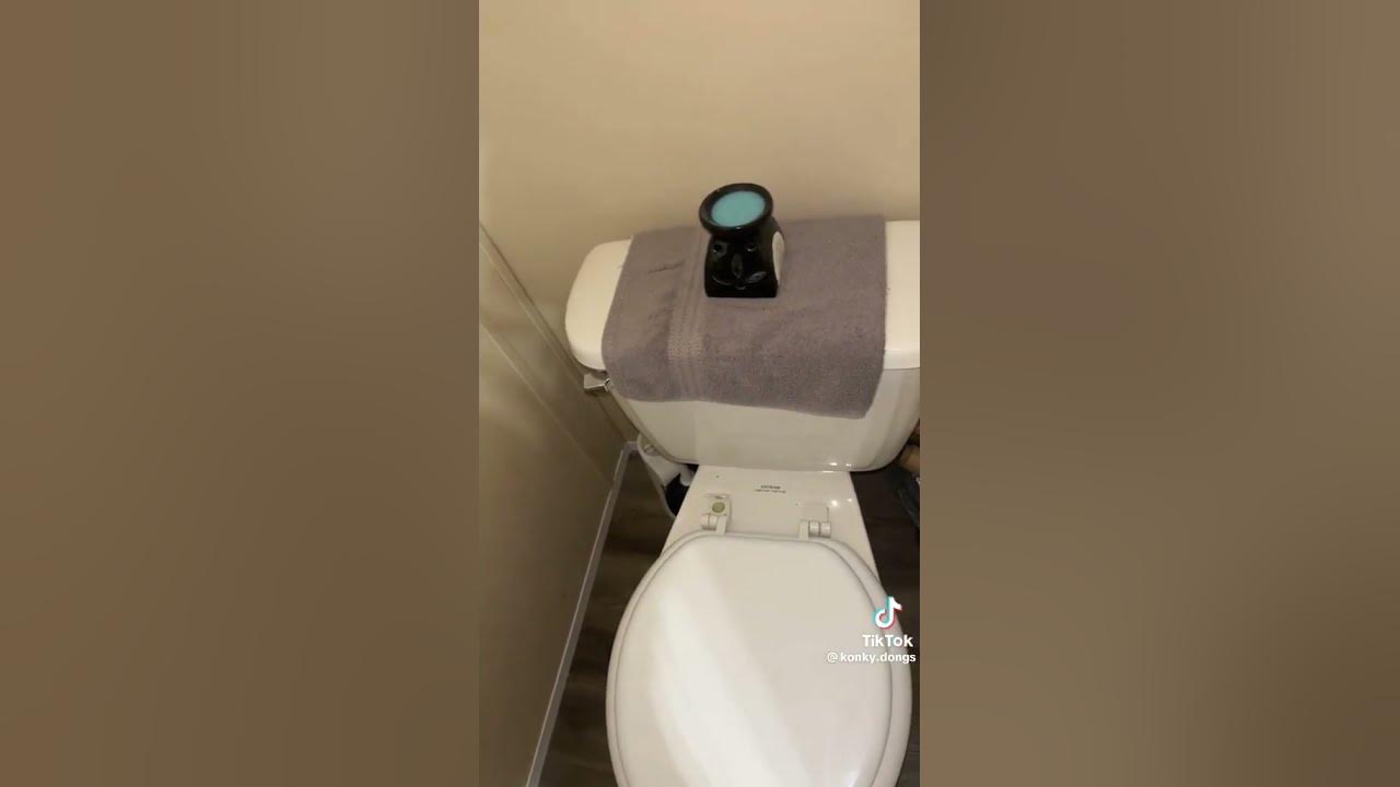 can somebody tell me why my toilet sounds like this YouTube