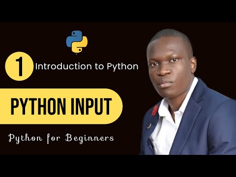 A Python Program that Accepts User Input and Prints the Input