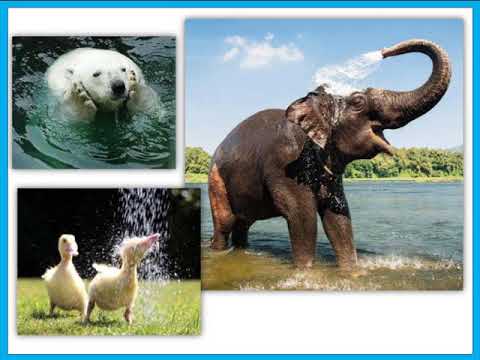 آموزش علوم دوم دبستان درس دوم آب سالم