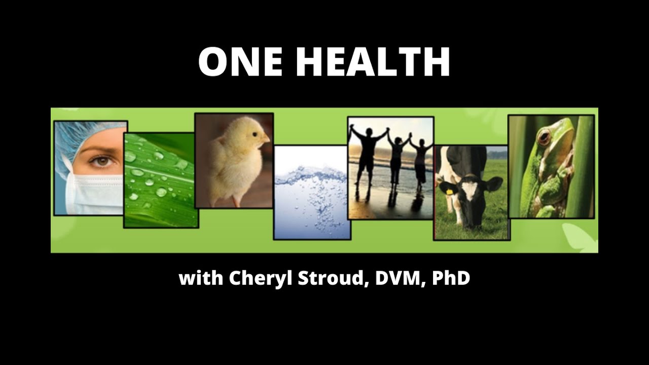 One Health with Cheryl Stroud, DVM, PhD YouTube