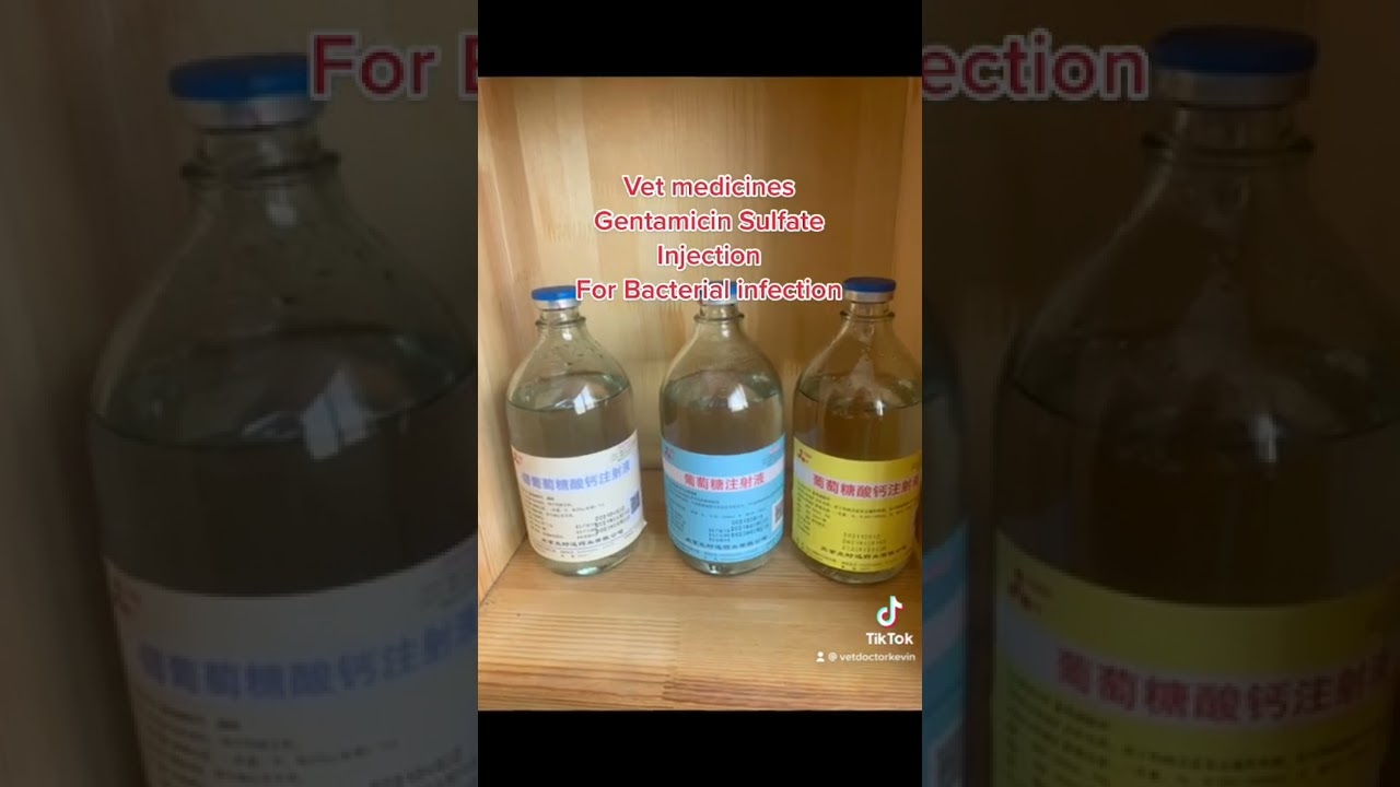Vet medicines- Gentamicin sulfate injection for Bacterial infection