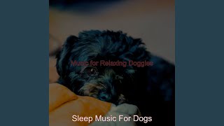 Happy Backdrops for Reducing Dogs Stress