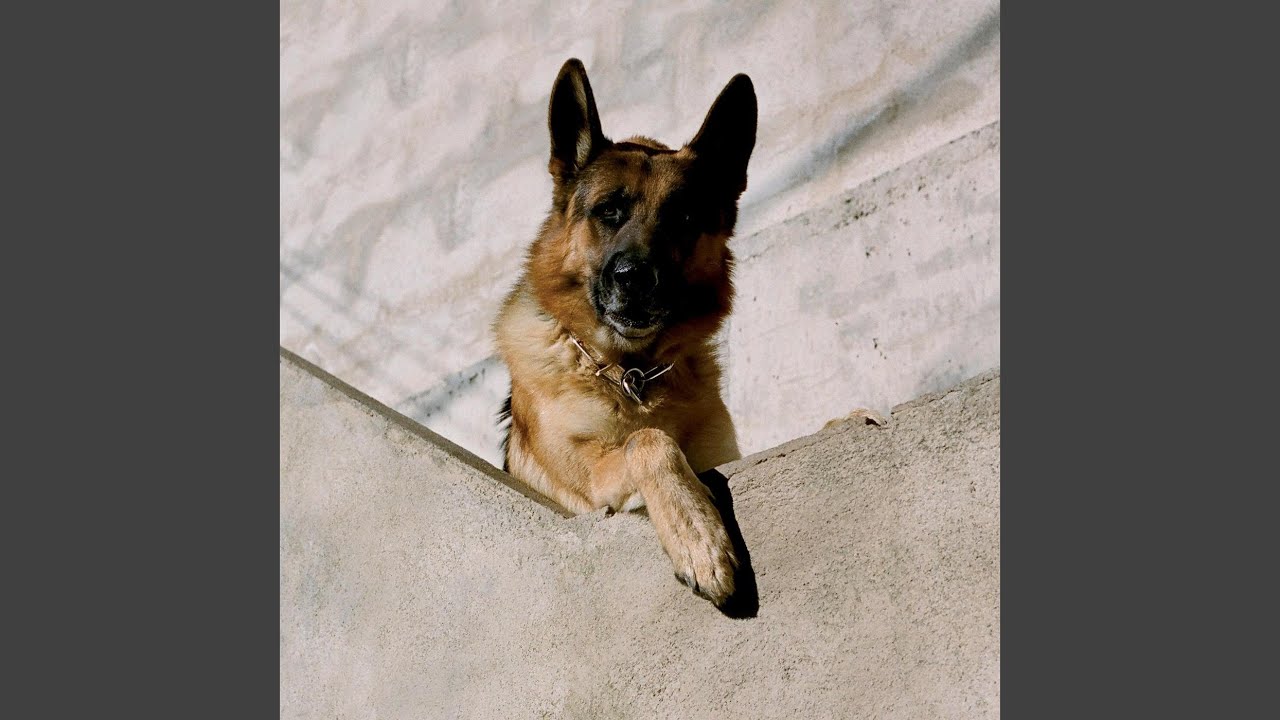 Watch Quixotic on YouTube Watch Quixotic on YouTube