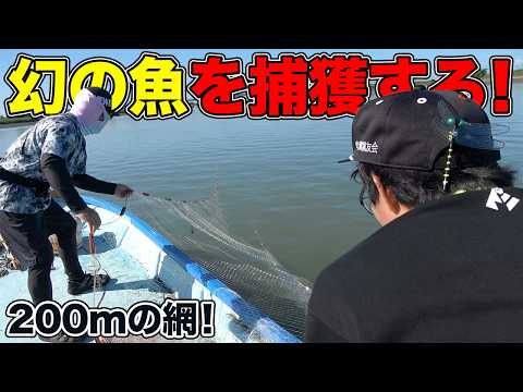 Catching an elusive, one-of-a-kind fish with a 200m gillnet!!