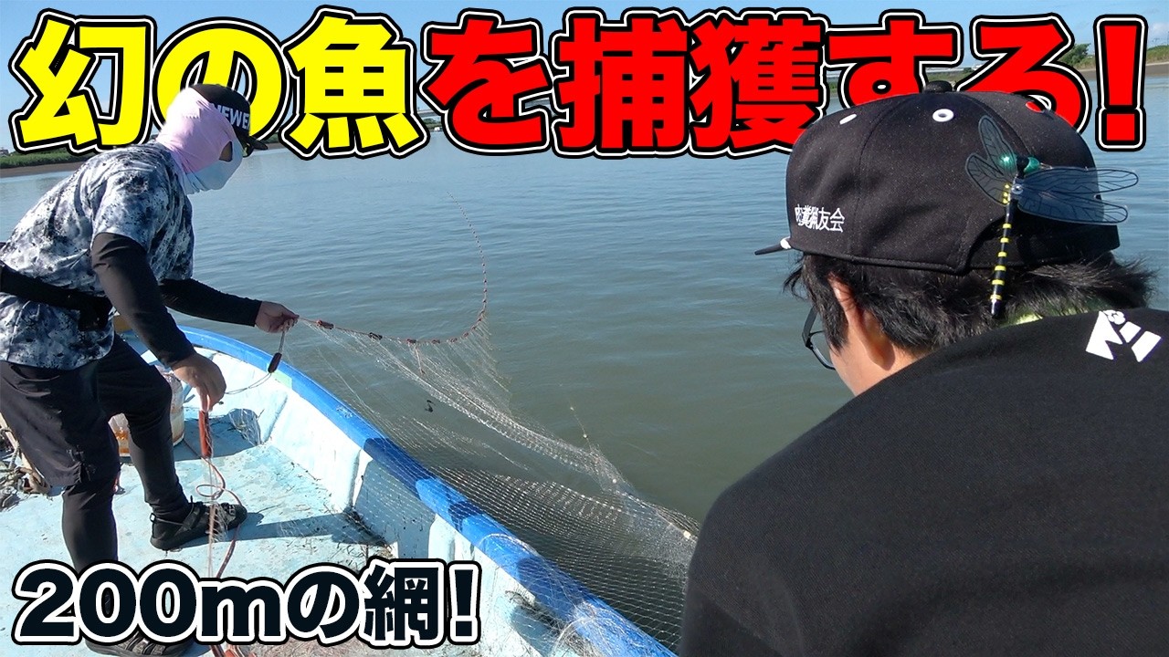 Catching an elusive, one-of-a-kind fish with a 200m gillnet
