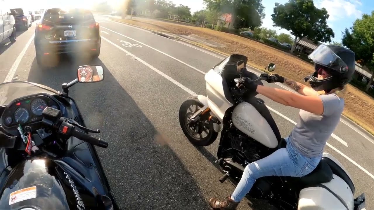 Harley Low Rider ST VS Kawasaki Ninja ZX11 Ride Of Confusion - YouTube