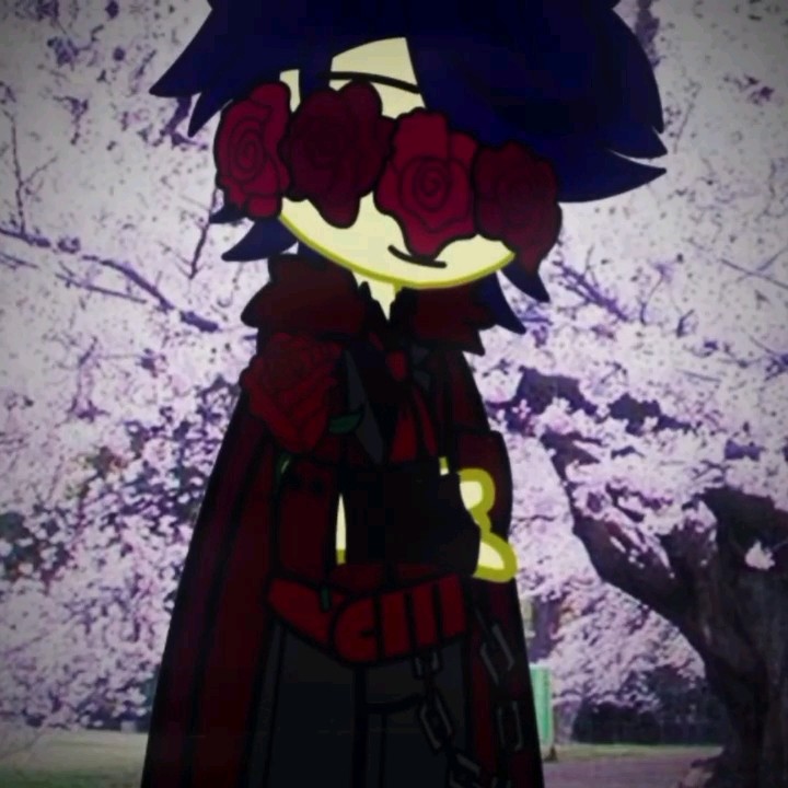 template-edits-from-capcut-my-au-red-rose-wally-darling-au-welcome