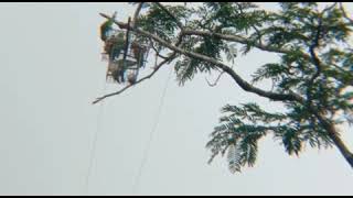 Memikat Puling Jebak Fullhouse