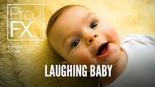 Laughing Baby Best Sound Effects Profx Sound, Sound Effects, Free Sound Effects