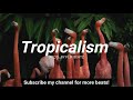 FLIP Beatz - "Tropicalism" Boom Bap Style Beat 2018/ New Style Beat/ Tropical Type Beat/ Ambience