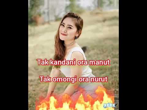 vita alvia angel temen tuturanmu lirik