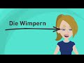 Deutsch lernen | die Körperteile | Wortschatz | Quiz