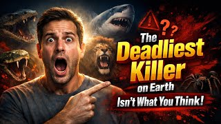 Top 30 Deadliest Animal On Earth | Most Dangerous Animal Ever Existed | Animals Ranked By Kill count
