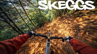     El Corte de Madera Delivers 🔥| SKEGGS MTB