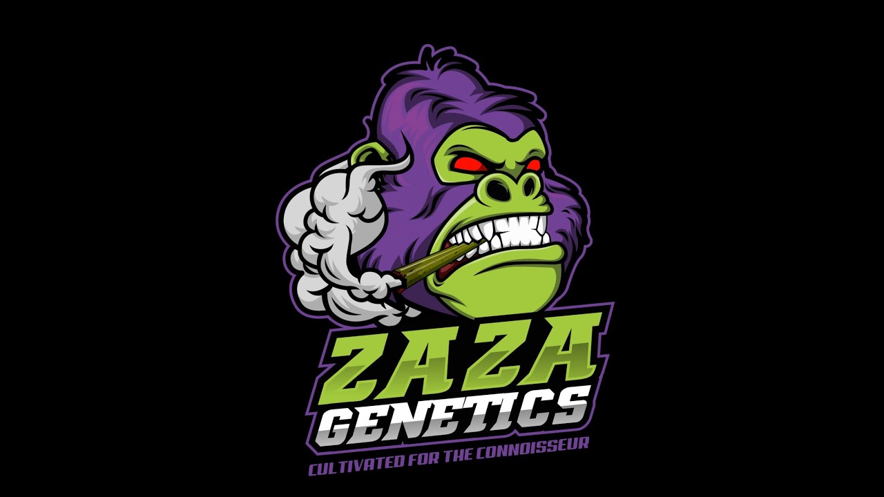 My First Time Trying African Food Live Mukbang! Q and A